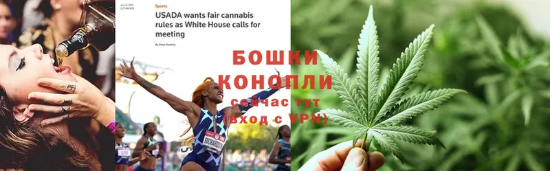 МЕГА сайт  Дмитровск  Конопля OG Kush  продажа наркотиков 